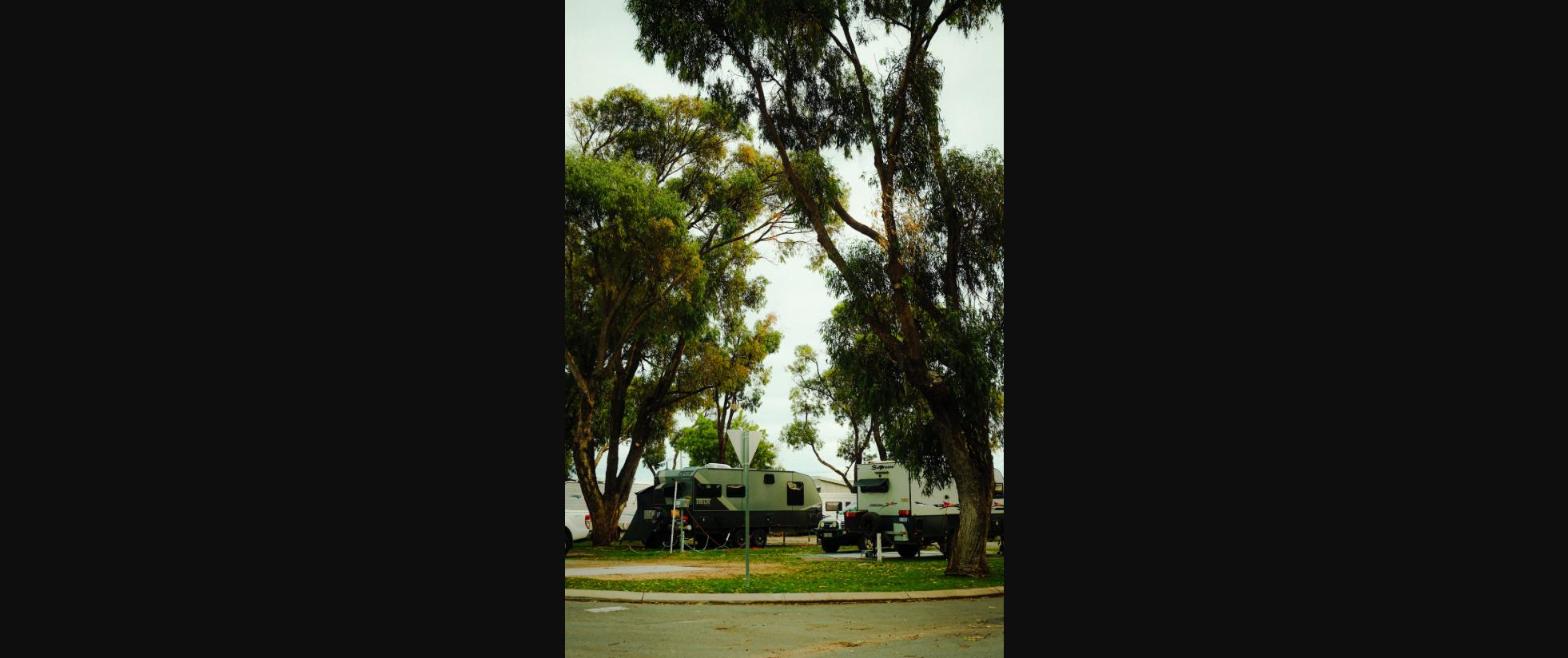 caravan-under-gum-trees.jpg